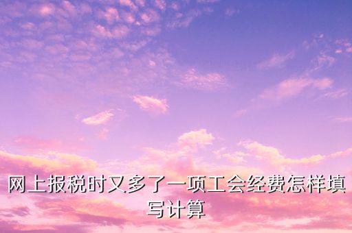 網(wǎng)上報(bào)稅時又多了一項(xiàng)工會經(jīng)費(fèi)怎樣填寫計(jì)算