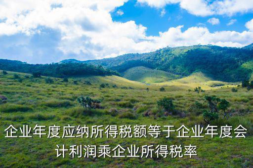 應(yīng)納稅所得額等于什么，什么是應(yīng)納稅所得額