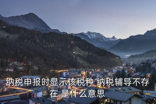 納稅輔導(dǎo)是什么意思，納稅申報(bào)時(shí)顯示該稅種 納稅輔導(dǎo)不存在 是什么意思