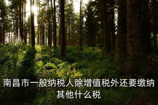 南昌縣國稅局交什么稅，南昌縣的服裝店國稅是多少