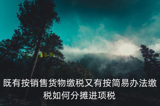 進(jìn)項(xiàng)稅分?jǐn)偸鞘裁匆馑?，既有按銷售貨物繳稅又有按簡(jiǎn)易辦法繳稅如何分?jǐn)傔M(jìn)項(xiàng)稅