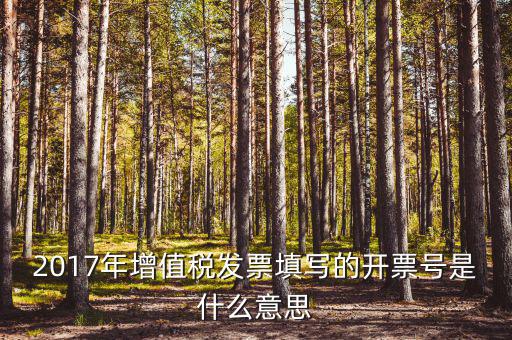 2017年增值稅發(fā)票填寫的開票號(hào)是什么意思