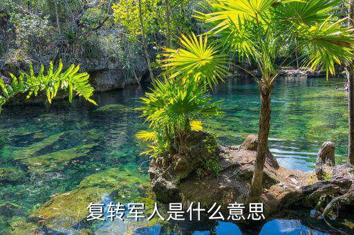 國稅局復(fù)轉(zhuǎn)軍人是什么身份，事業(yè)單位的退伍軍人屬什么身份