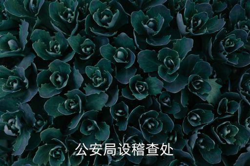 稽查處是什么部門，公安局設稽查處