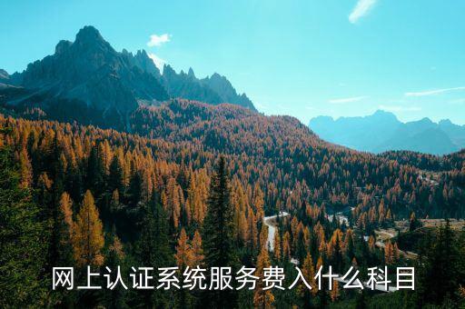 網(wǎng)上認證服務費是什么，網(wǎng)上認證系統(tǒng)服務費入什么科目