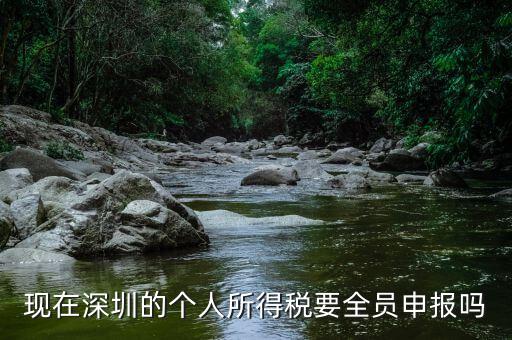 深圳為什么要個稅申報(bào)，外地企業(yè)如何在深圳為什么還要繳納個人所得稅1
