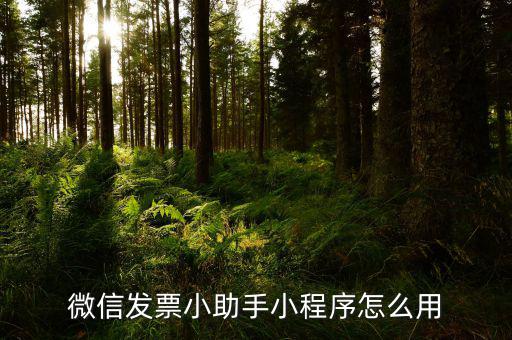 微發(fā)票助手是什么情況，微信發(fā)票小助手小程序怎么用