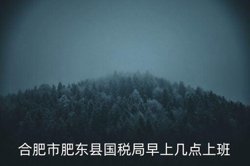 安徽國稅什么時候上班時間，國稅局的上班時間