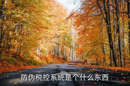 防偽稅控一體化什么時候，營改增后漢字防偽企業(yè)抄報稅時需要使用什么設(shè)備