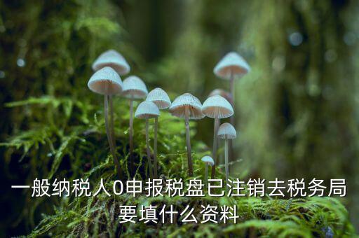 注銷金稅盤需要帶什么資料，請問注銷稅務(wù)登記需要提供哪些資料