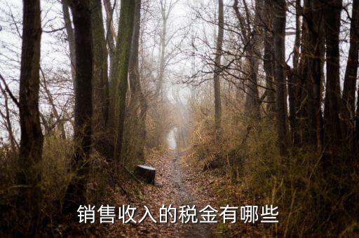 銷售交什么稅，銷售收入的稅金有哪些