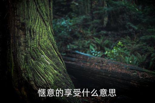 應(yīng)享盡享什么意思，愜意的享受什么意思