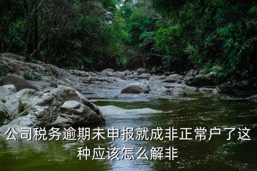 公司稅務(wù)逾期未申報就成非正常戶了這種應(yīng)該怎么解非