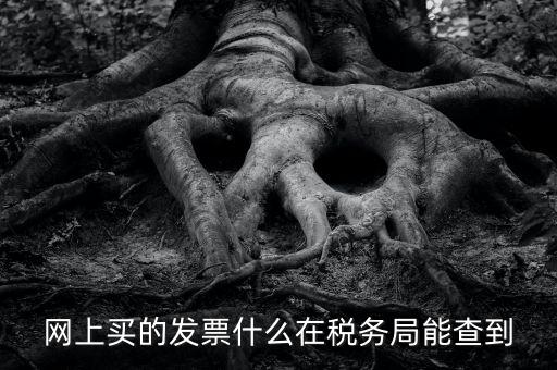 網(wǎng)上查發(fā)票能查到什么內(nèi)容，網(wǎng)上買的發(fā)票什么在稅務局能查到