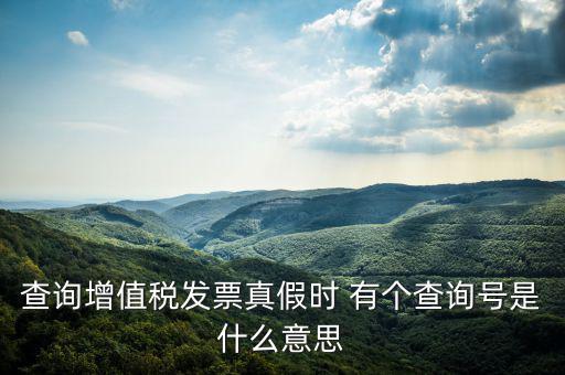 陜西省發(fā)票查詢號是什么意思，電子發(fā)票號碼是什么意思