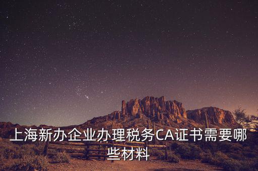 2014年7月份上海稅務(wù)局還需要審什么證，上海新辦企業(yè)辦理稅務(wù)CA證書需要哪些材料