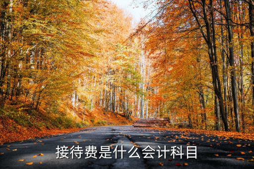 接待費(fèi)計(jì)入什么科目，業(yè)務(wù)招待費(fèi)屬于什么會(huì)計(jì)科目
