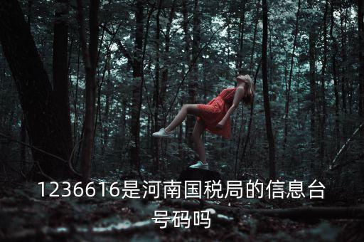 河南省國(guó)家稅務(wù)局賬號(hào)是什么，登錄國(guó)稅網(wǎng)上辦稅服務(wù)廳的用戶名和密碼是什么