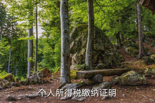 個(gè)人稅務(wù)證明是什么，什么是個(gè)人納稅證明