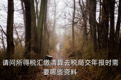 公司稅務(wù)年報(bào)需要什么，問(wèn)企業(yè)所得稅年報(bào)怎么報(bào)需要什么資料