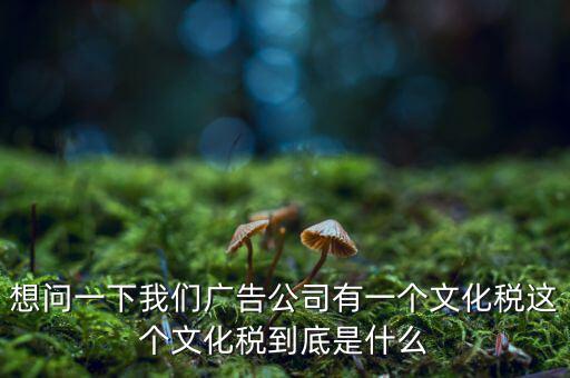 什么是稅務(wù)文化，和諧地稅文化的內(nèi)涵應(yīng)包括哪些方面