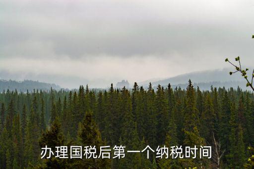 報稅后什么時候交稅，辦理國稅后第一個納稅時間