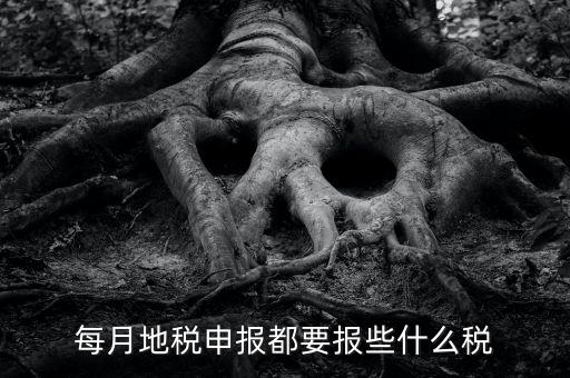 地稅申報報些什么稅神，每月地稅申報都要報些什么稅