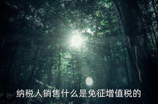 什么免征增值稅，哪些屬于免征增值稅