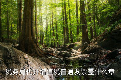 稅務(wù)局的章可以蓋什么，稅務(wù)局代開增值稅普通發(fā)票蓋什么章