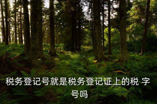 稅務(wù)登記證是什么字體，稅務(wù)登記證上的這是什么字體