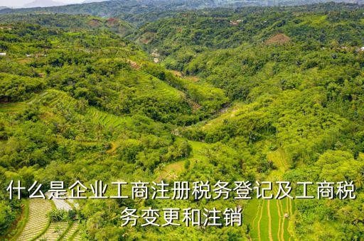 登記稅務(wù)是什么，什么是納稅人稅務(wù)登記名稱(chēng)