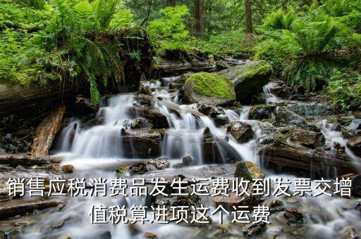 銷(xiāo)售應(yīng)稅消費(fèi)品發(fā)生運(yùn)費(fèi)收到發(fā)票交增值稅算進(jìn)項(xiàng)這個(gè)運(yùn)費(fèi)