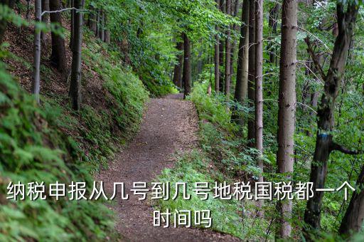 納稅申報(bào)從幾號(hào)到幾號(hào)地稅國稅都一個(gè)時(shí)間嗎