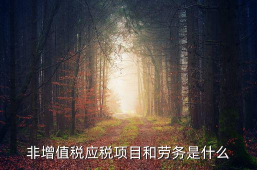 什么是非增值稅應(yīng)勞務(wù)，什么是非增值稅應(yīng)稅勞務(wù)希望懂的朋友能夠說得通俗易懂點或是舉