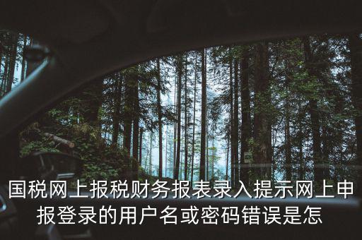 國稅網(wǎng)上報稅財務報表錄入提示網(wǎng)上申報登錄的用戶名或密碼錯誤是怎