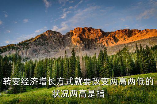 什么是兩提高兩降低，轉變經(jīng)濟增長方式就要改變兩高兩低的狀況兩高是指