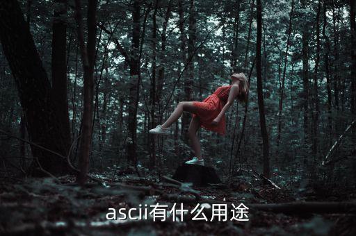 稅優(yōu)識(shí)別碼有什么用，ascii有什么用途