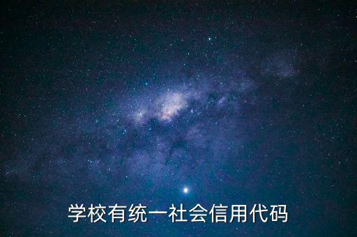 學(xué)校有統(tǒng)一社會信用代碼
