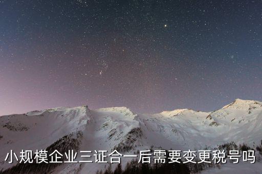 什么情況需要變更稅號，小規(guī)模企業(yè)三證合一后需要變更稅號嗎