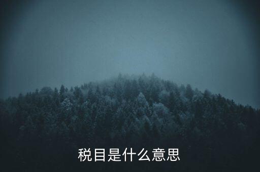 增值稅稅目是什么，增值稅是什么稅是什么
