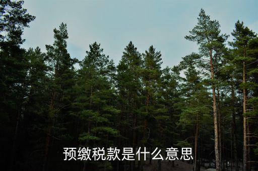 已預(yù)繳稅費(fèi)指什么，預(yù)繳稅款是什么意思