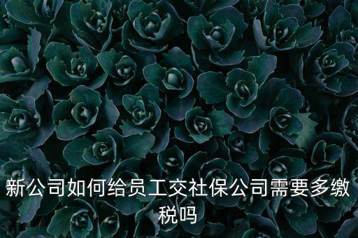 公司交社保要交什么稅，企業(yè)為員工交養(yǎng)老保險(xiǎn)要不要交稅的