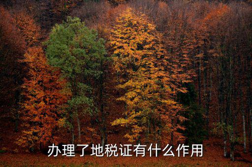 地稅局作用是什么，地稅局給我們帶來(lái)了哪些好處