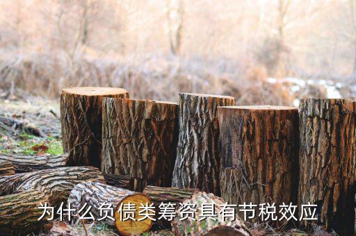 什么是節(jié)稅，為什么負(fù)債類籌資具有節(jié)稅效應(yīng)