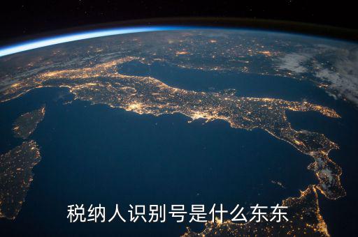 企業(yè)稅務(wù)識(shí)別號(hào)是什么意思，稅納人識(shí)別號(hào)是什么東東