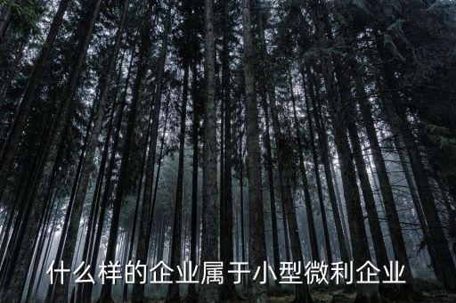 什么屬于小微企業(yè)，小微企業(yè)是什么