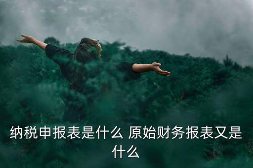 納稅申報表是什么 原始財務報表又是什么