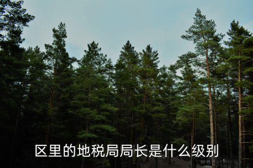 安徽省地稅局局長是什么級別，區(qū)里的地稅局局長是什么級別