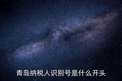 納稅人識(shí)別號(hào)什么開頭，納稅人識(shí)別號(hào)330100開頭的是哪個(gè)地方的