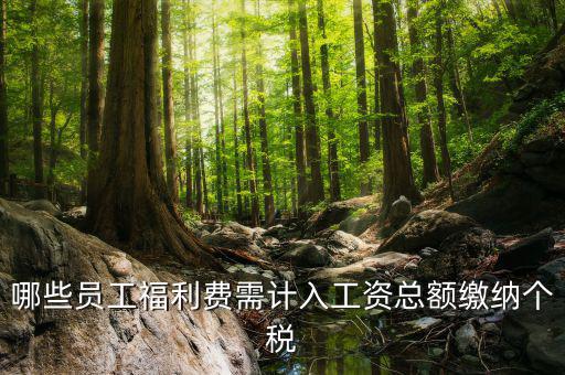 什么樣的福利費(fèi)要交個稅，什么樣的福利費(fèi)不需要交納個人所得稅呢